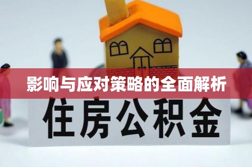 池上影响与应对策略的全面解析