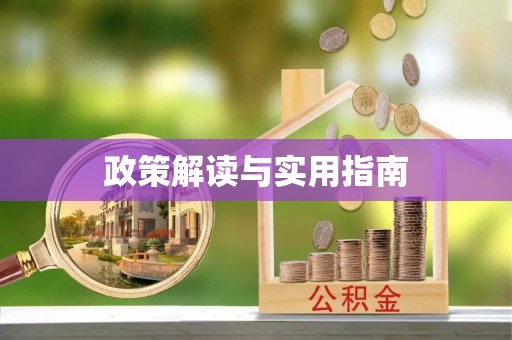 池上政策解读与实用指南