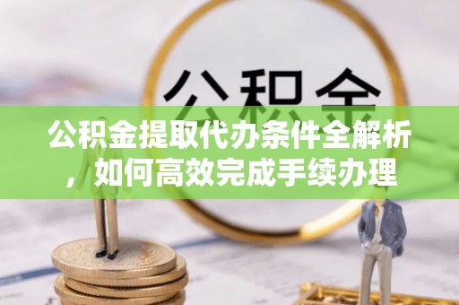 池上公积金提取代办条件全解析，如何高效完成手续办理