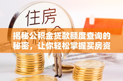 池上揭秘公积金贷款额度查询的秘密，让你轻松掌握买房资金规划