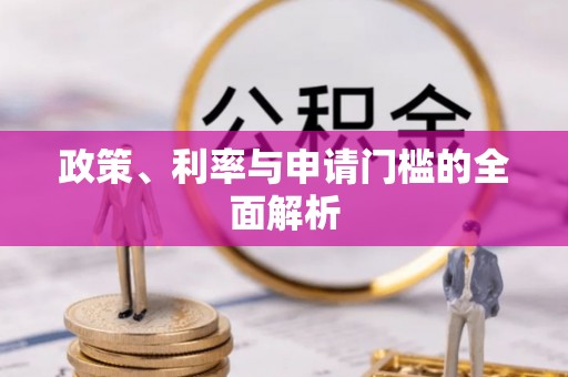 池上政策、利率与申请门槛的全面解析