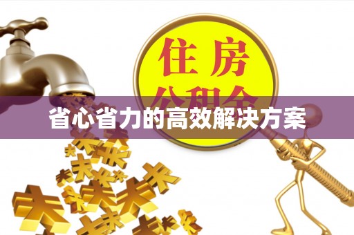 池上省心省力的高效解决方案