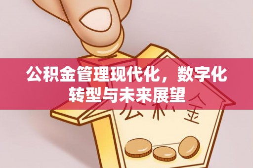 池上公积金管理现代化，数字化转型与未来展望