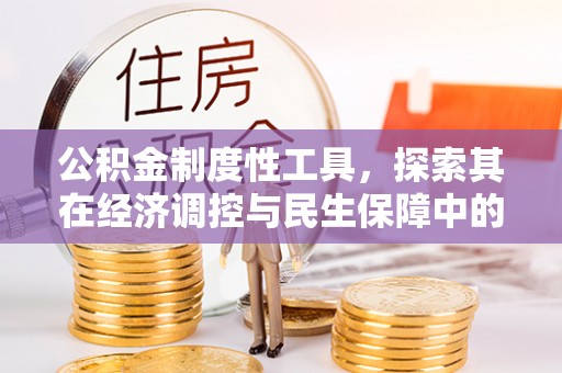 池上公积金制度性工具，探索其在经济调控与民生保障中的重要作用