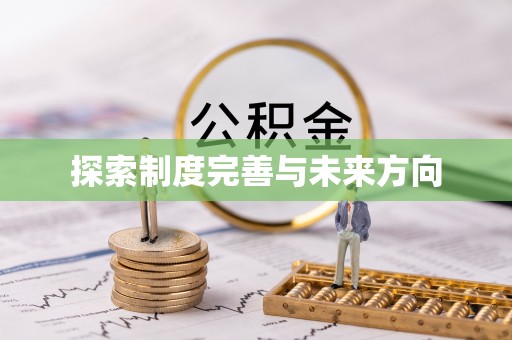 池上探索制度完善与未来方向