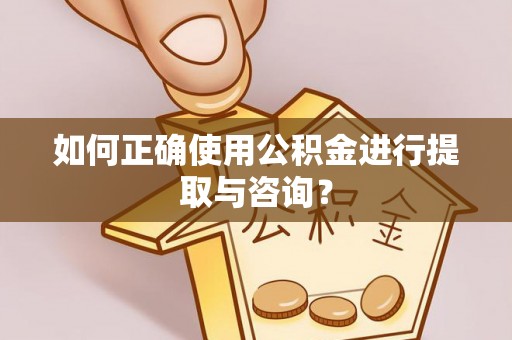 池上如何正确使用公积金进行提取与咨询？