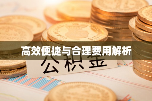 池上高效便捷与合理费用解析