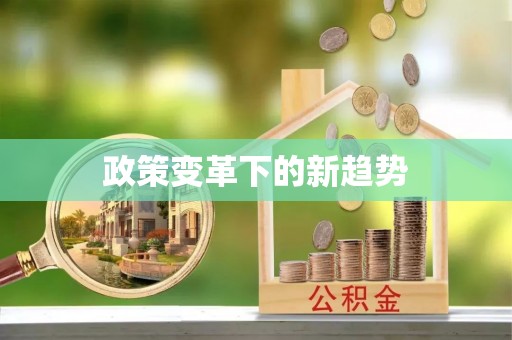 池上政策变革下的新趋势