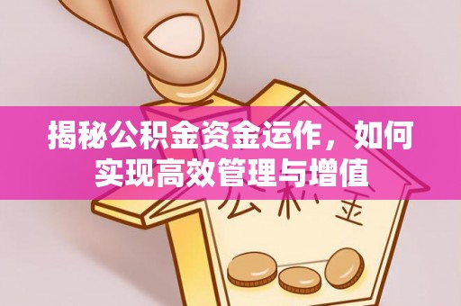池上揭秘公积金资金运作，如何实现高效管理与增值