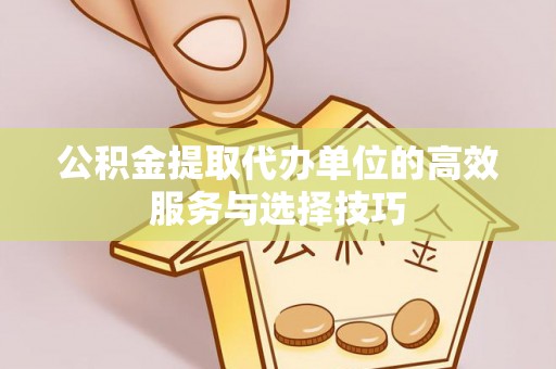 池上公积金提取代办单位的高效服务与选择技巧