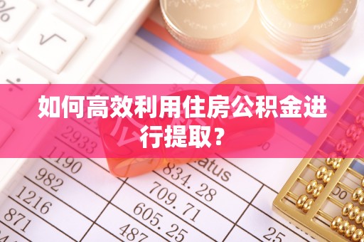 池上如何高效利用住房公积金进行提取？