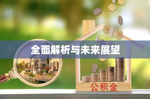 池上全面解析与未来展望