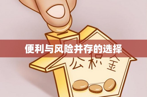 池上便利与风险并存的选择